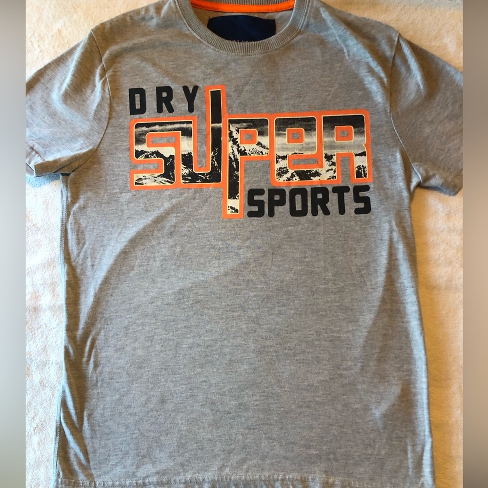 Superdry Tee Shirt Gray Short Sleeve Mountain Graphic Design